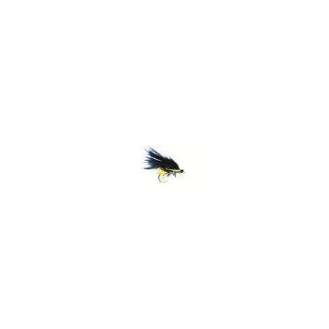 Green UV Hotspot Cormorant
