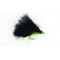 Hothead Straggle Black Cat