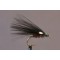 JC Cormorant