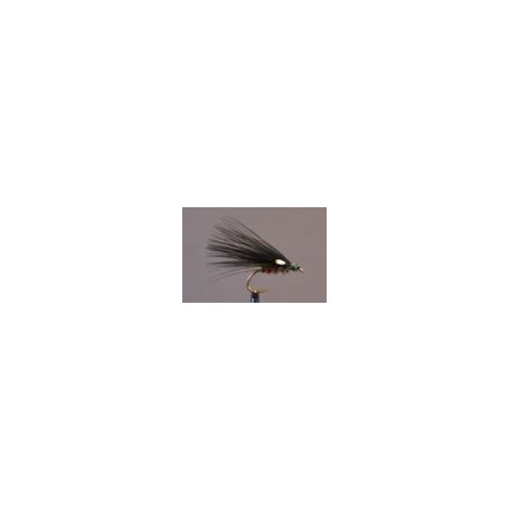 JC Cormorant