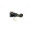 KJ Abortion Cormorant Booby