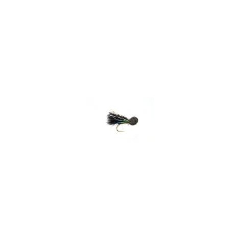 KJ Abortion Cormorant Booby