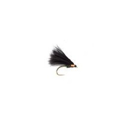 KJ Clifton Cormorant