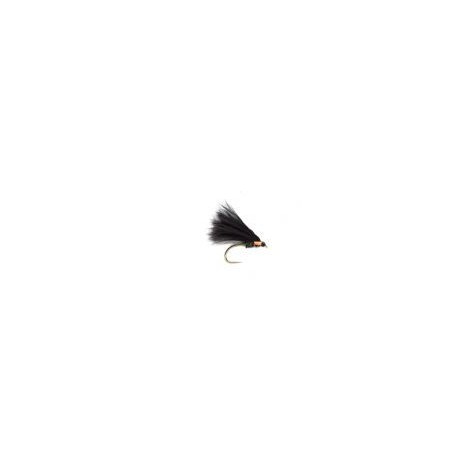 KJ Clifton Cormorant