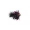 KJ Merlot Blob