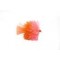 KJ Orange & Coral Blob