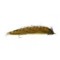 Large Unweighted Snake Olive