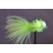 Lime Fritz Booby