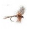 March Brown