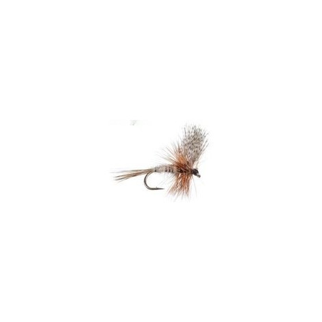 March Brown