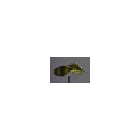 Matuka Olive
