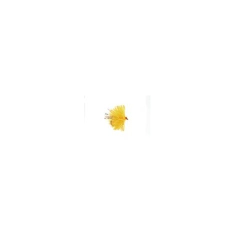 Micro Sunburst Blob