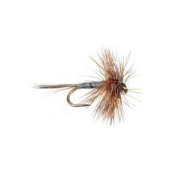 Midge Adams