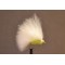 Mini Cats Whisker White & Green