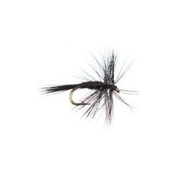 Midge Black
