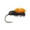 Beetle