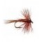 Midge Brown