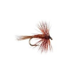 Midge Brown