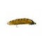 Mini Weighted Olive Snake