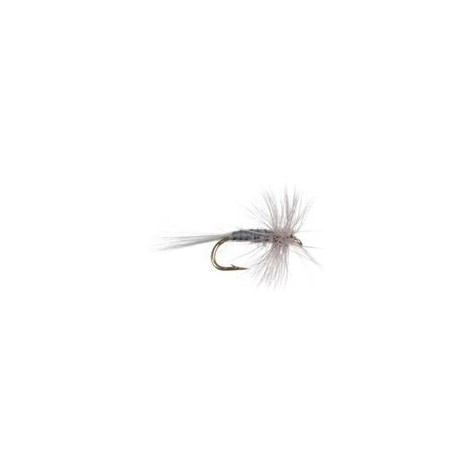 Midge Dun
