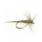 Midge Olive