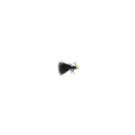 Neutral Density Black Booby