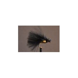 Neutral Density JC Cormorant Booby