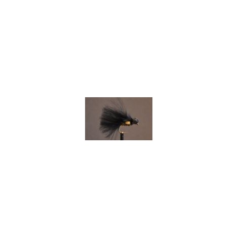 Neutral Density JC Cormorant Booby