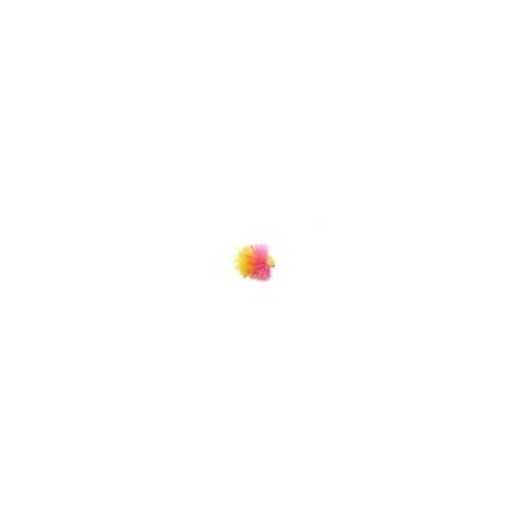 Neutral Density Sunburst & Pink Blob Booby