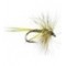 Mosquito Olive