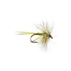 Mosquito Olive