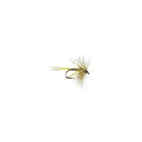 Mosquito Olive