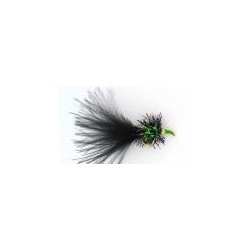 Nomad Black