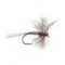 Mosquito