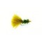 Nugget Cactus Fly Olive