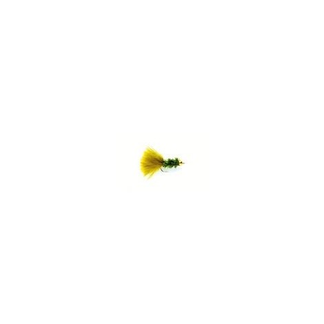 Nugget Cactus Fly Olive