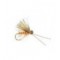 October Caddis