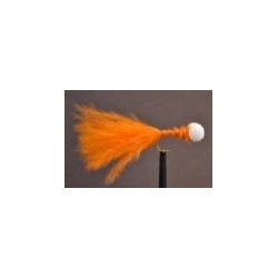 Orange Booby