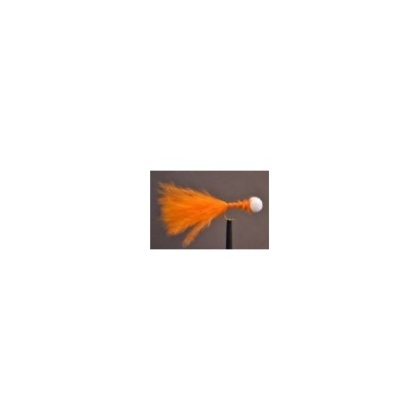 Orange Booby
