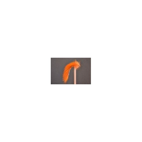 Orange Bunny Leech