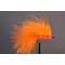 Orange Cats Whisker