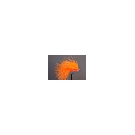 Orange Cats Whisker