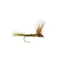 Olive Sparkle Dun