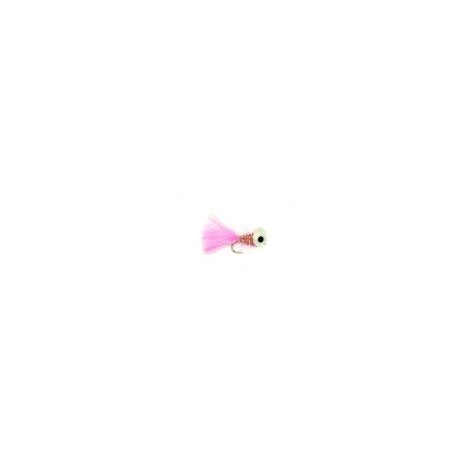Pink Booby