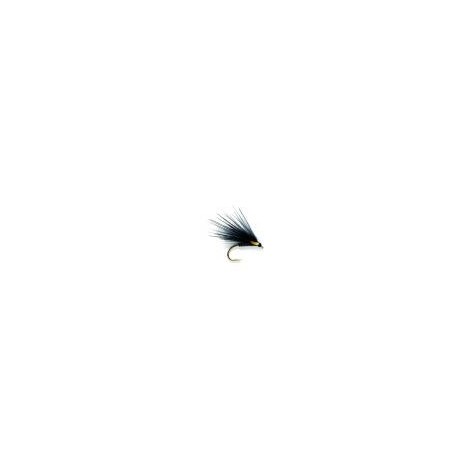 Quill Flashback Cormorant