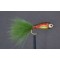 Rainbow Trout