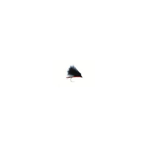 Red Cormorant