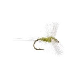 Pale Olive Spinner