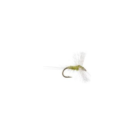 Pale Olive Spinner