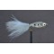 Salmon Parr